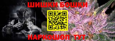 apvp Нальчик