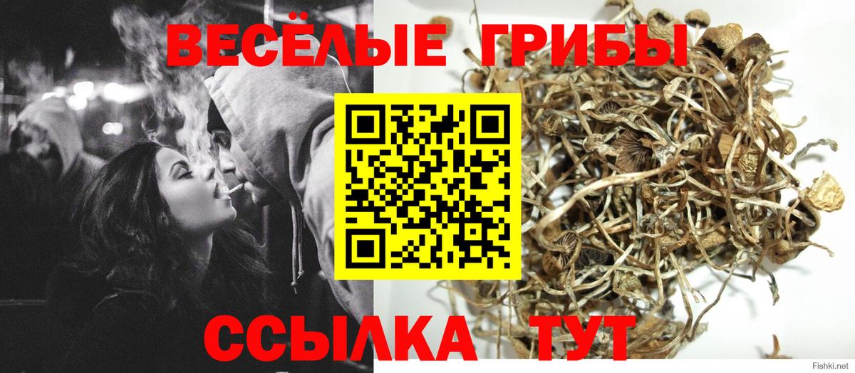 Псилоцибиновые грибы Cubensis  Вход с VPN  Урюпинск 